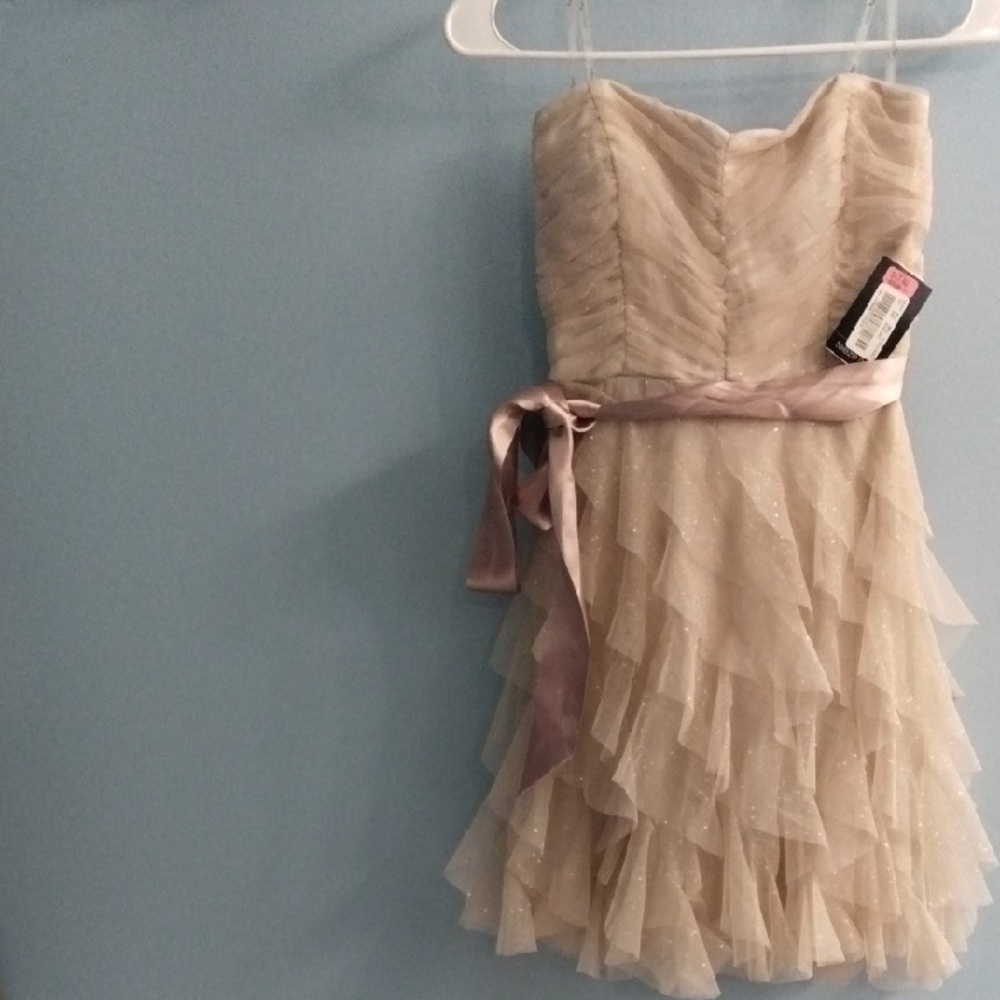 NWT Teeze Me Cream Layered Sparkling Dress with Pink Ribbon Size 3 - Picture 1 of 6